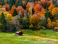 Hütte in den Buckelwiesen