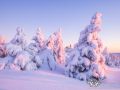 Sonnenaufgang am Fichtelberg